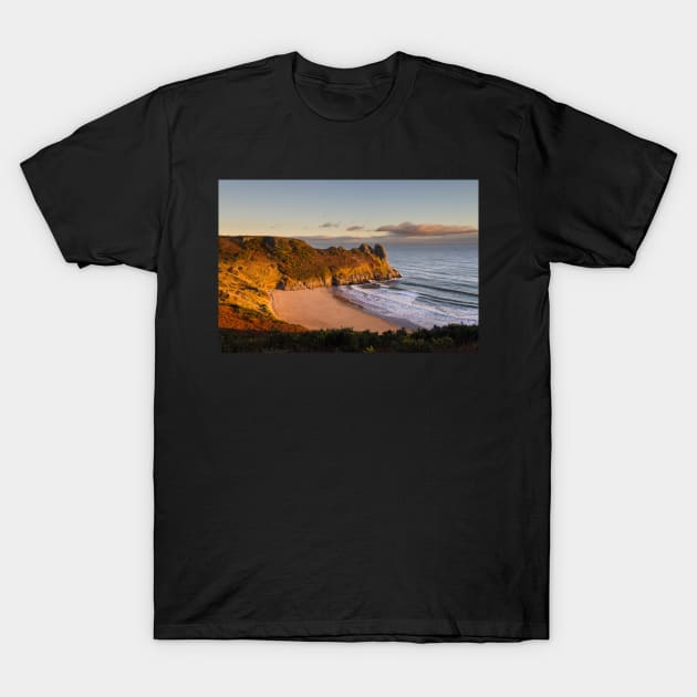 Tor Bay and Great Tor, Gower T-Shirt by dasantillo